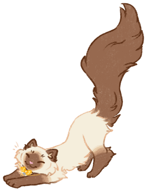 Outdated collar / necklace